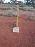 image of grave number 513035